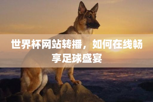 世界杯网站转播，如何在线畅享足球盛宴