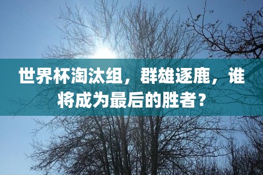 世界杯淘汰组，群雄逐鹿，谁将成为最后的胜者？