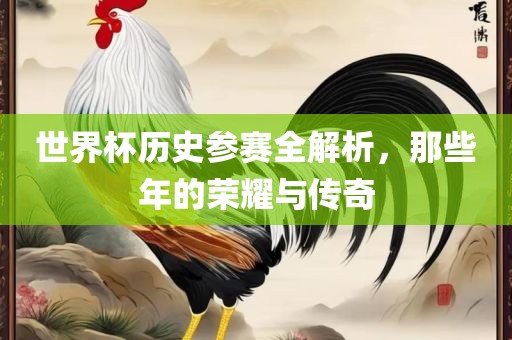 世界杯历史参赛全解析，那些年的荣耀与传奇
