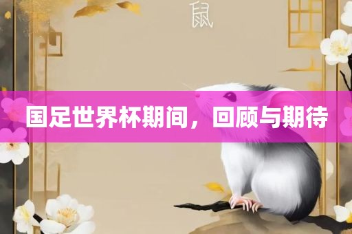 国足世界杯期间，回顾与期待