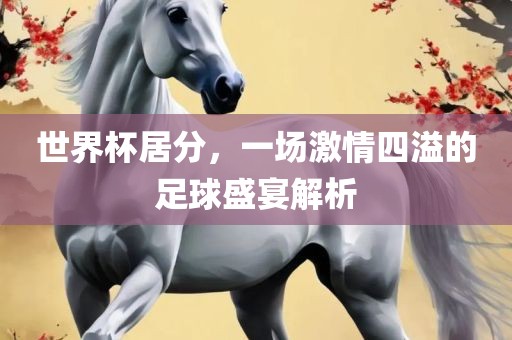 世界杯居分，一场激情四溢的足球盛宴解析