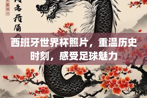 西班牙世界杯照片，重温历史时刻，感受足球魅力