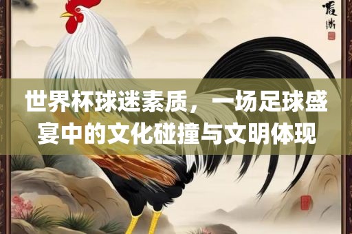 世界杯球迷素质，一场足球盛宴中的文化碰撞与文明体现