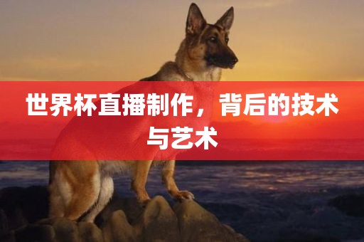 世界杯直播制作，背后的技术与艺术