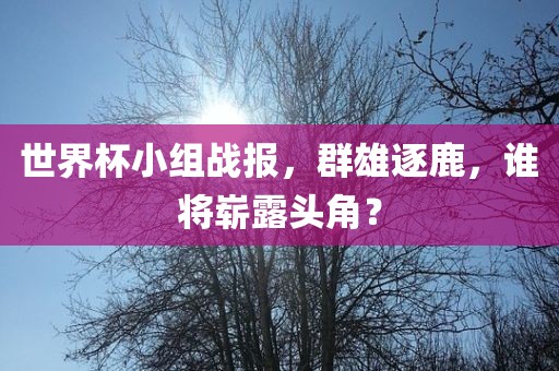 世界杯小组战报，群雄逐鹿，谁将崭露头角？