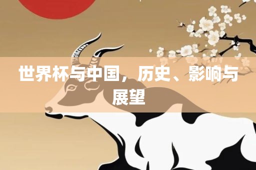 世界杯与中国，历史、影响与展望眉山市正发家政服务有限公司