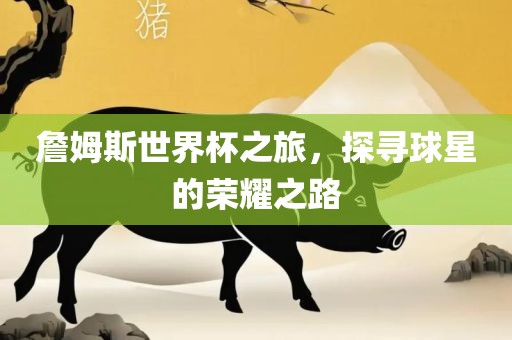 詹姆斯世界杯之旅，探寻球星的荣耀之路