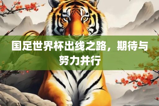 国足世界杯出线之路，期待与努力并行