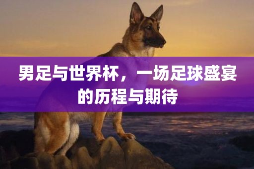 男足与世界杯，一场足球盛宴的历程与期待