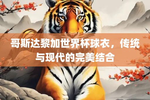 哥斯达黎加世界杯球衣，传统与现代的完美结合
