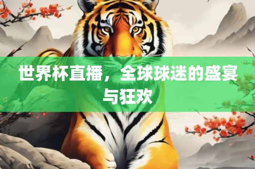 世界杯直播，全球球迷的盛宴与狂欢