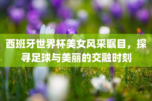 西班牙世界杯美女风采瞩目，探寻足球与美丽的交融时刻