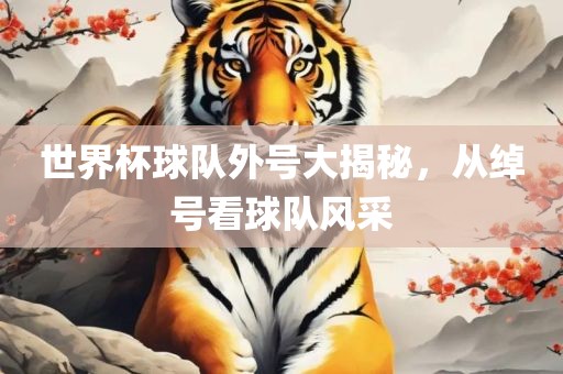 世界杯球队外号大揭秘，从绰号看球队风采