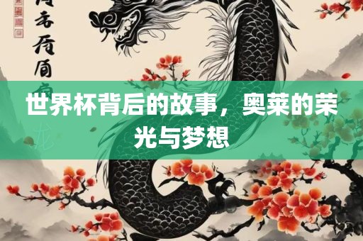 世界杯背后的故事，奥莱的荣光与梦想