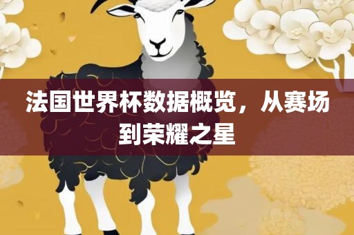 法国世界杯数据概览，从赛场到荣耀之星