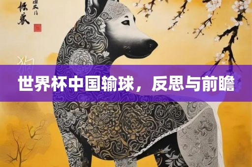 世界杯中国输球，反思与前瞻