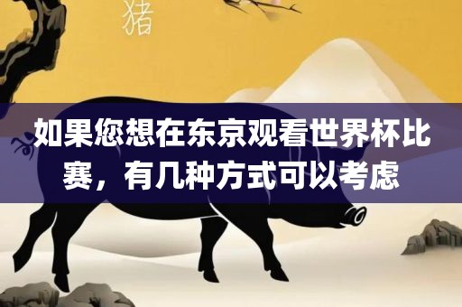如果您想在东京观看世界杯比赛，有几种方式可以考虑