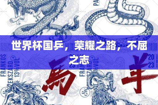 世界杯国乒，荣耀之路，不屈之志