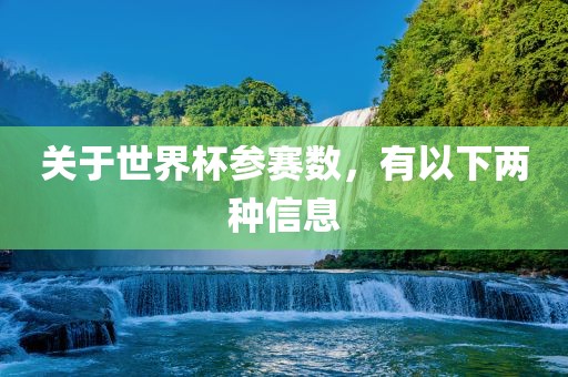 关于世界杯参赛数，有以下两种信息