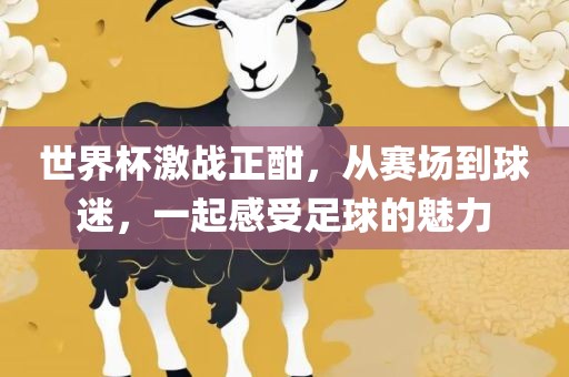 世界杯激战正酣，从赛场到球迷，一起感受足球的魅力