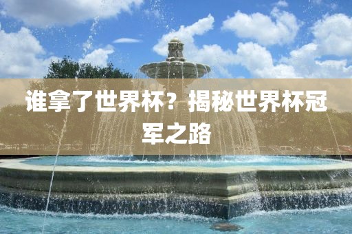 谁拿了世界杯？揭秘世界杯冠军之路