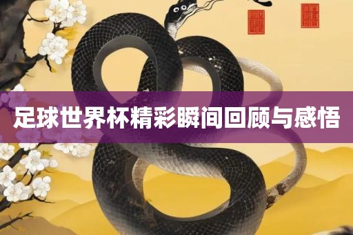 足球世界杯精彩瞬间回顾与感悟