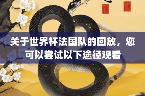 关于世界杯法国队的回放，您可以尝试以下途径观看