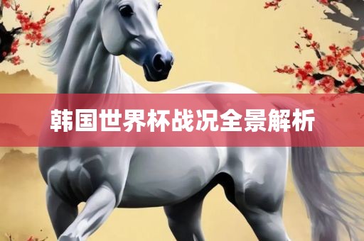 韩国世界杯战况全景解析