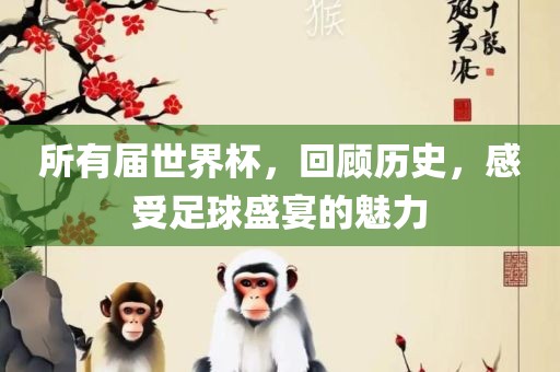 所有届世界杯，回顾历史，感受足球盛宴的魅力