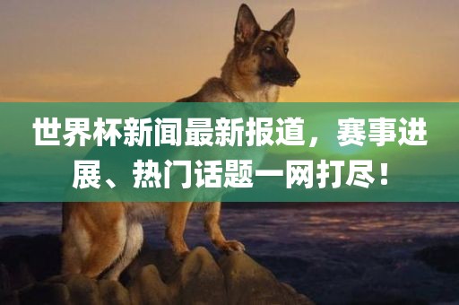 世界杯新闻最新报道，赛事进展、热门话题一网打尽！
