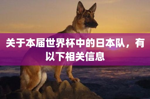 关于本届世界杯中的日本队，有以下相关信息