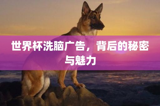 世界杯洗脑广告，背后的秘密与魅力