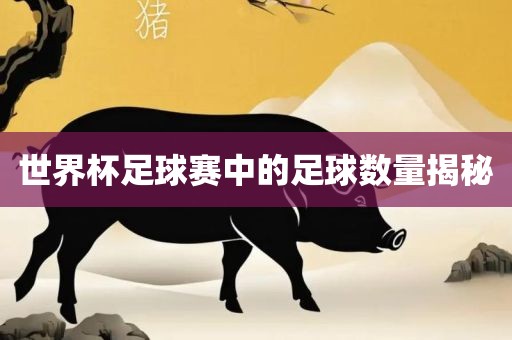 世界杯足球赛中的足球数量揭秘