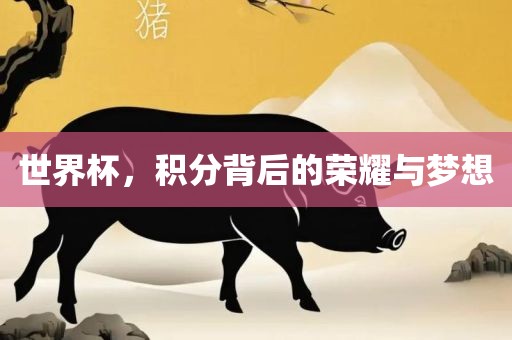 世界杯，积分背后的荣耀与梦想