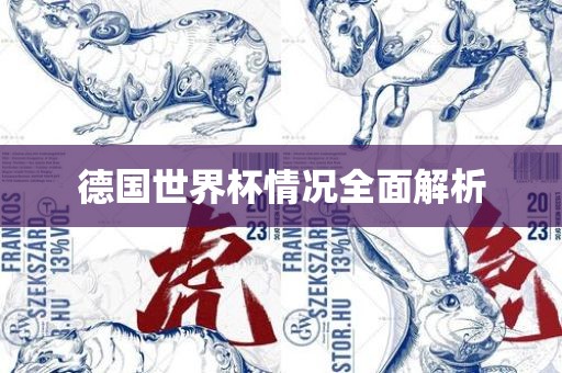 德国世界杯情况全面解析