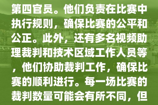 世界杯足球赛的裁判包括一名主裁判、两名助理裁判和一名第四官员。他们负责在比赛中执行规则，确保比赛的公平和公正。此外，还有多名视频助理裁判和技术区域工作人员等，他们协助裁判工作，确保比赛的顺利进行。每一场比赛的裁判数量可能会有所不同，但通常会有多名裁判共同协作以确保比赛的公正和顺利进行。