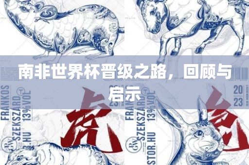 南非世界杯晋级之路，回顾与启示