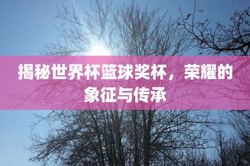 揭秘世界杯篮球奖杯，荣耀的象征与传承