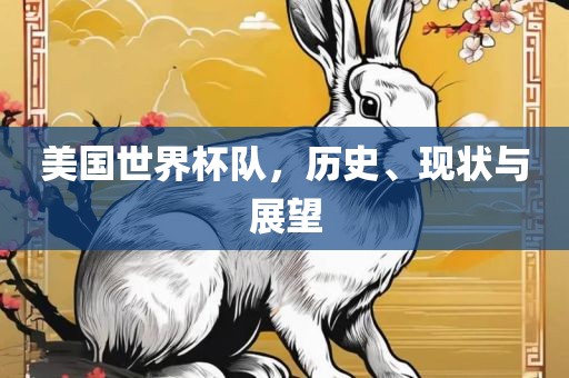 美国世界杯队，历史、现状与展望