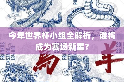 今年世界杯小组全解析，谁将成为赛场新星？