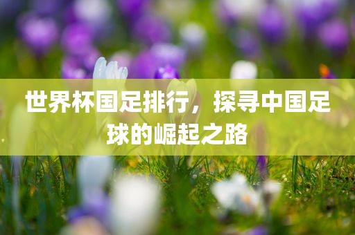 世界杯国足排行，探寻中国足球的崛起之路