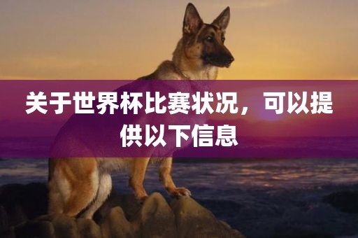 关于世界杯比赛状况，可以提供以下信息