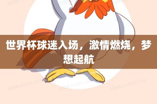 世界杯球迷入场，激情燃烧，梦想起航