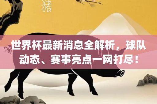 世界杯最新消息全解析，球队动态、赛事亮点一网打尽！