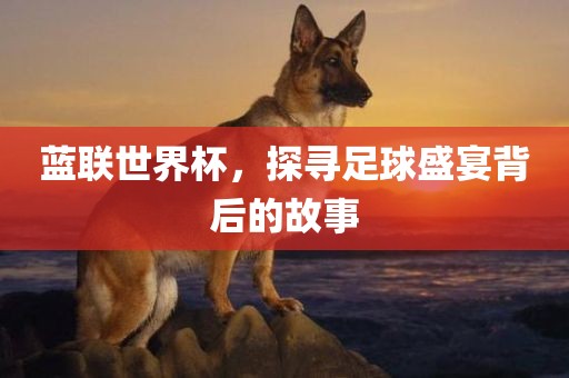 蓝联世界杯，探寻足球盛宴背后的故事