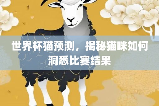 世界杯猫预测，揭秘猫咪如何洞悉比赛结果