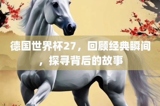 德国世界杯27，回顾经典瞬间，探寻背后的故事