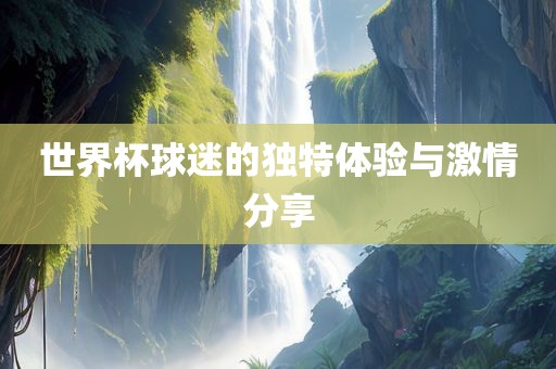 世界杯球迷的独特体验与激情分享