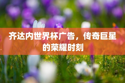 齐达内世界杯广告，传奇巨星的荣耀时刻
