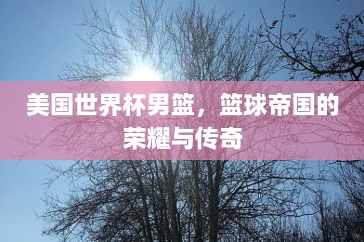 美国世界杯男篮，篮球帝国的荣耀与传奇